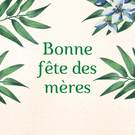 Fruits et fleurs pour célébrer maman